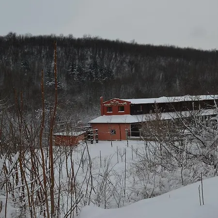 Holiday home Manastirski Chiflik Svishtov